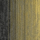CM 389